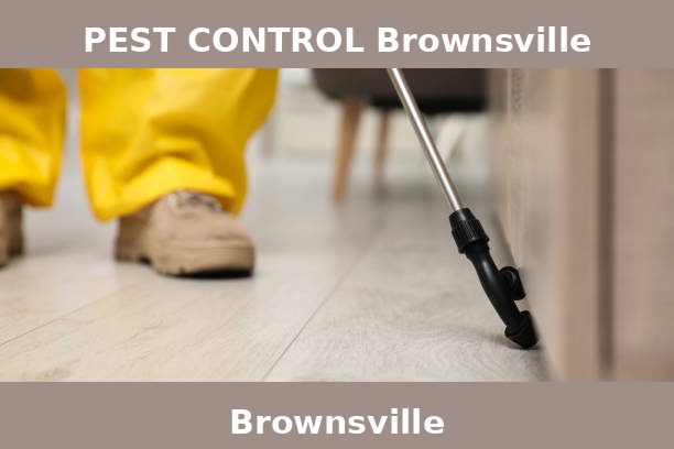 PEST CONTROL Brownsville
